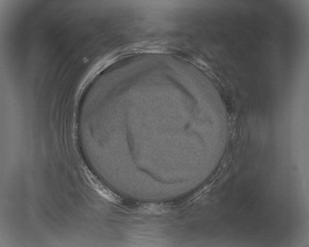 X0000080700293200701121758