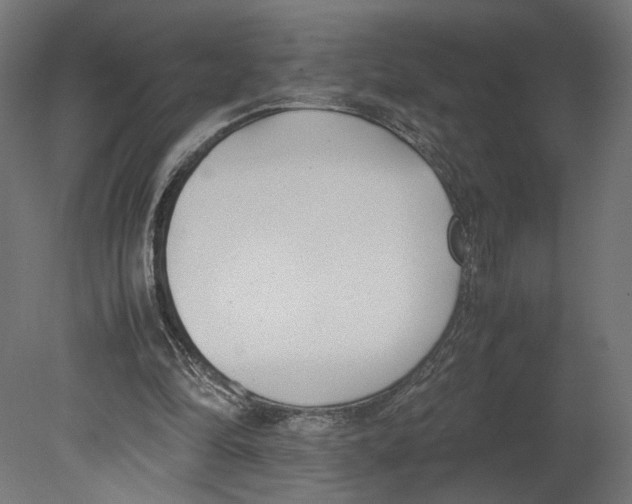 X0000080700294200701121758