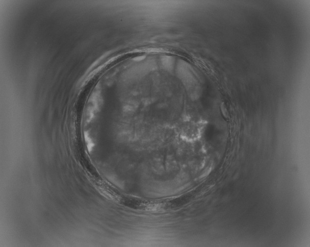 X0000080700295200701121758