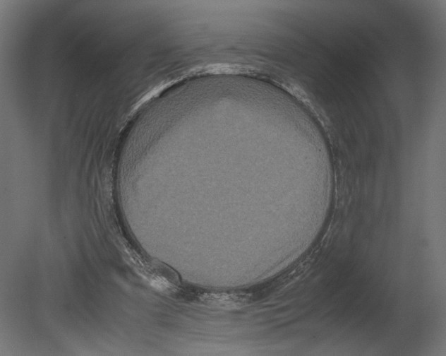 X0000080700297200701121758