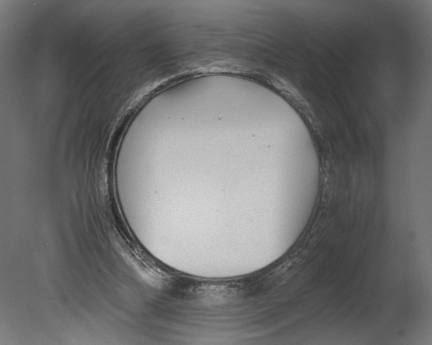 X0000080700298200701121758