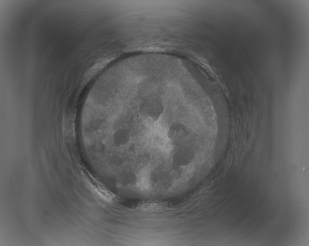 X0000080700299200701121758