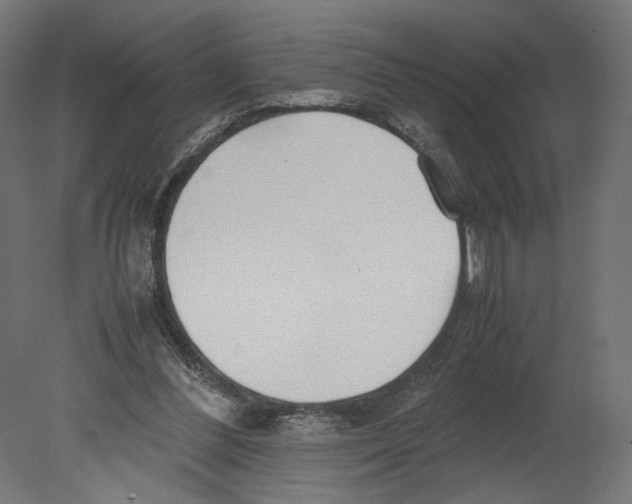 X0000080700300200701121758