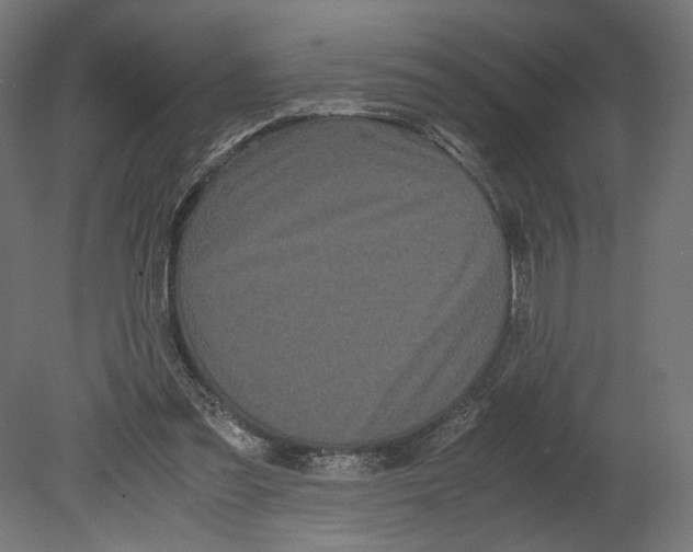 X0000080700301200701121758