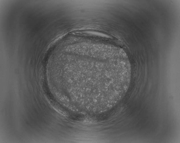 X0000080700303200701121758