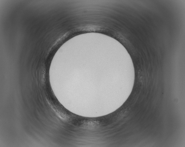 X0000080700304200701121758