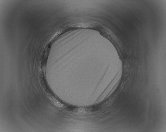 X0000080700305200701121758