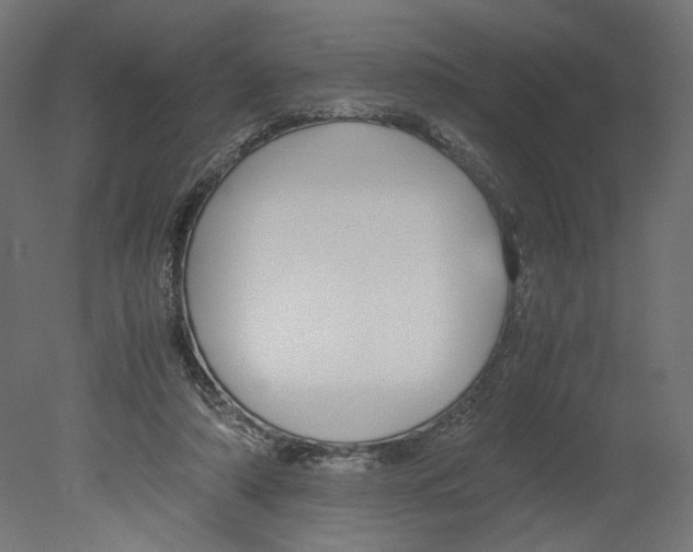 X0000080700306200701121758