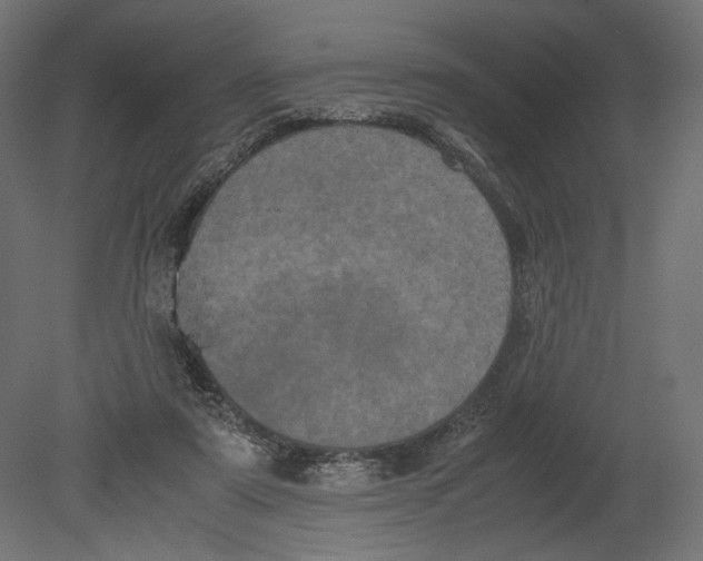 X0000080700307200701121758