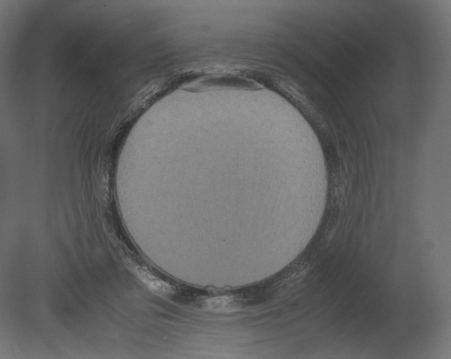 X0000080700309200701121758