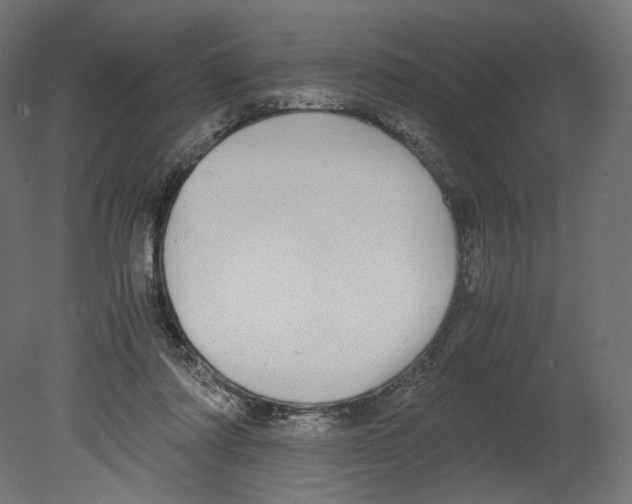 X0000080700310200701121758