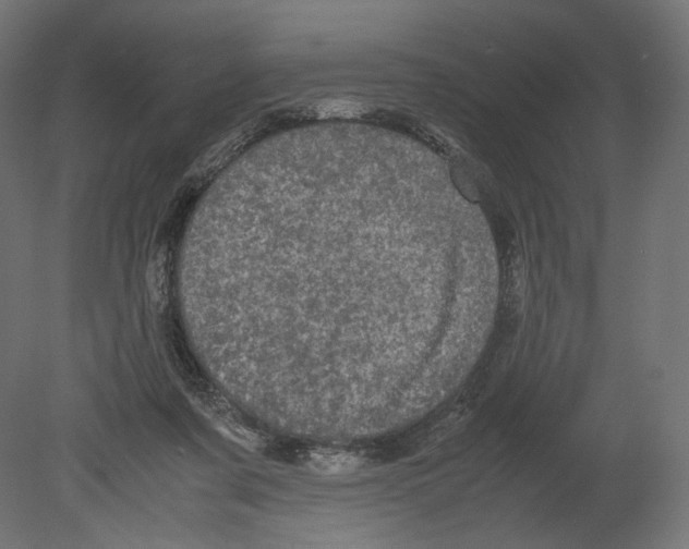 X0000080700311200701121758