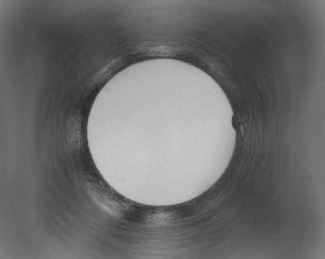 X0000080700312200701121758