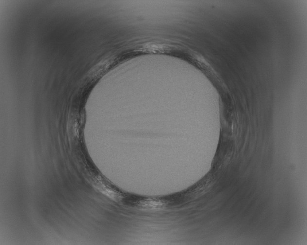 X0000080700313200701121758