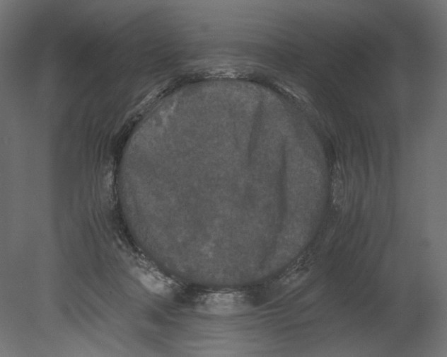 X0000080700314200701121758