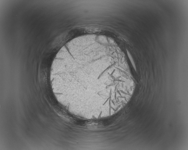 X0000080700315200701121758