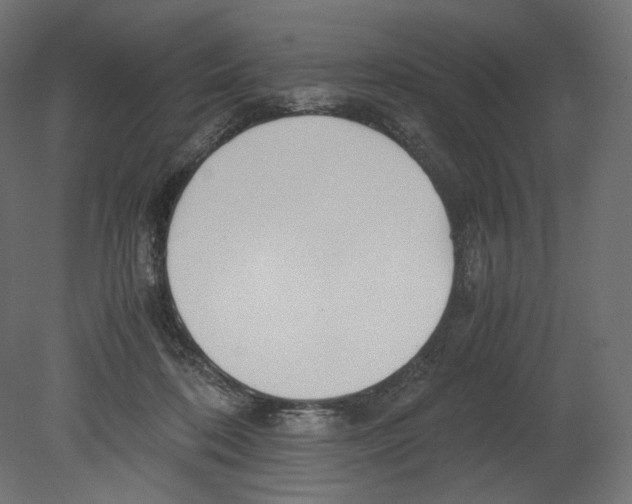 X0000080700316200701121758