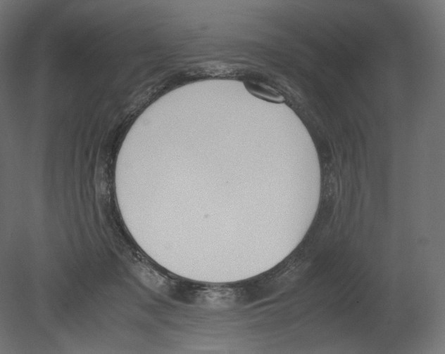 X0000080700317200701121758