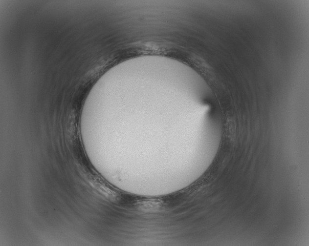 X0000080700318200701121758