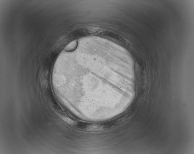 X0000080700319200701121758