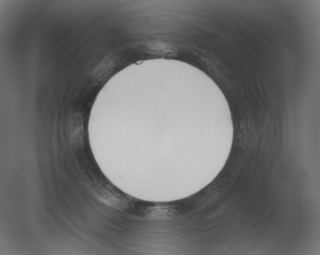 X0000080700320200701121758