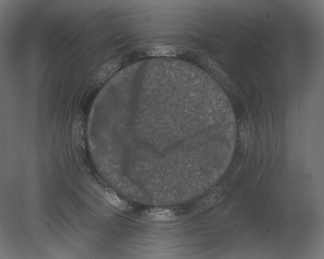 X0000080700322200701121758