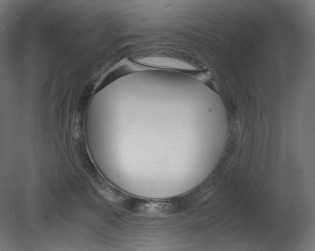 X0000080700323200701121758