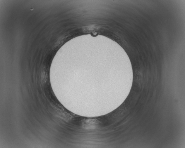 X0000080700324200701121758