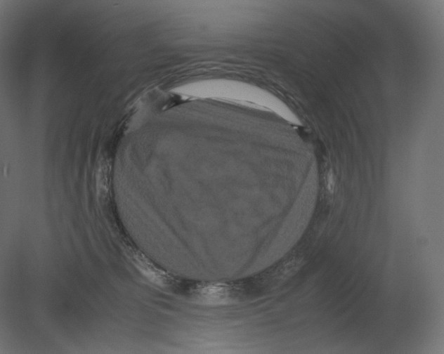 X0000080700325200701121758