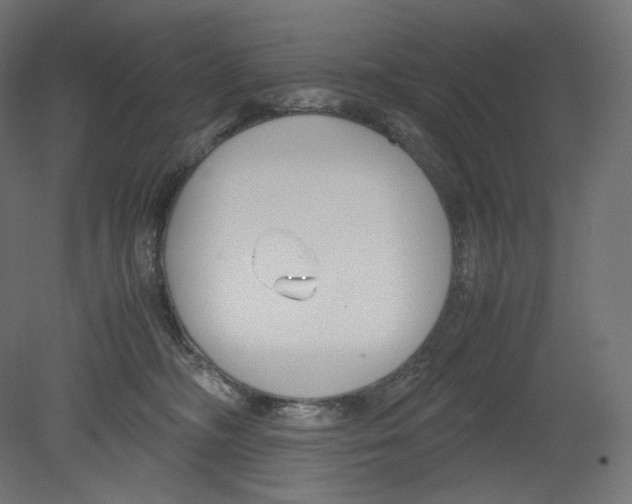 X0000080700326200701121758