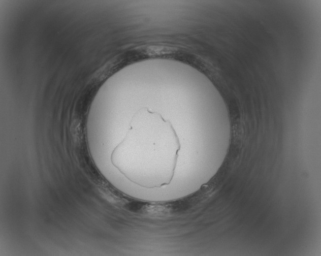 X0000080700327200701121758