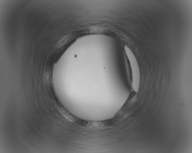 X0000080700329200701121758