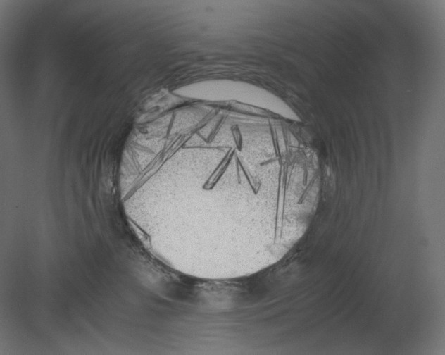 X0000080700331200701121758