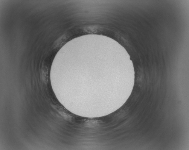 X0000080700332200701121758