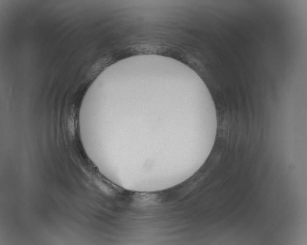 X0000080700334200701121758