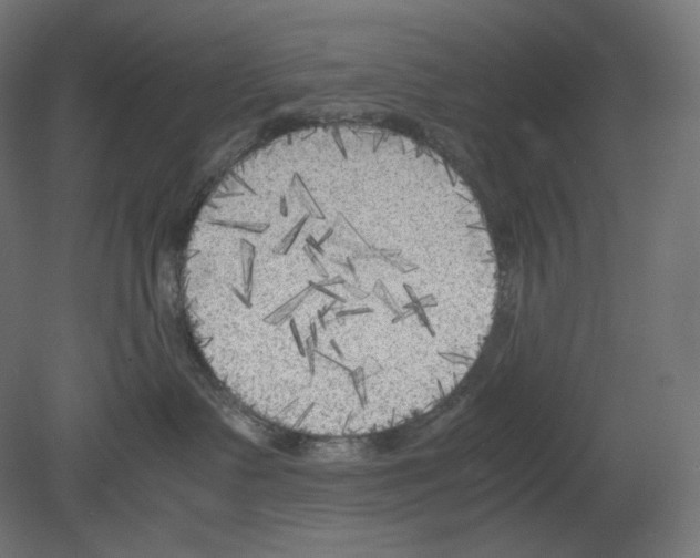 X0000080700335200701121758