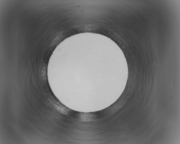 X0000080700336200701121758