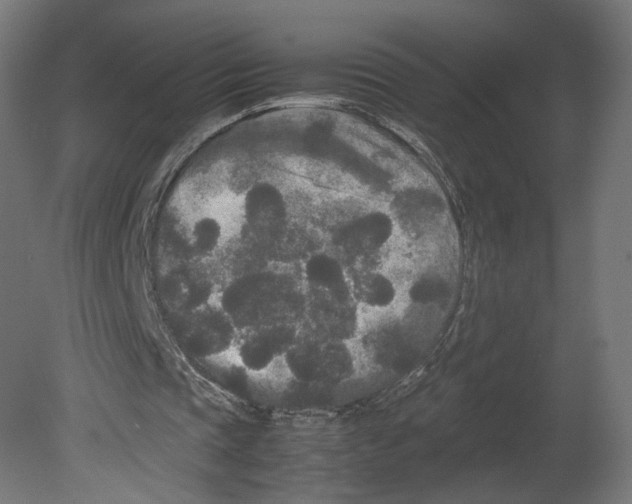 X0000080700337200701121757