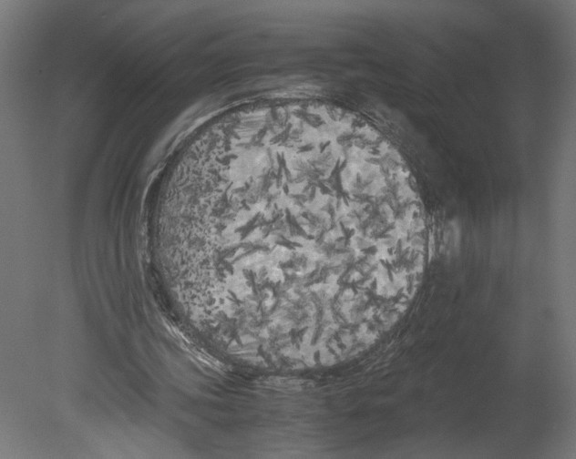 X0000080700339200701121757