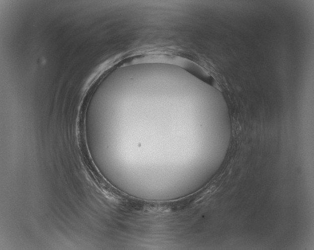 X0000080700340200701121757