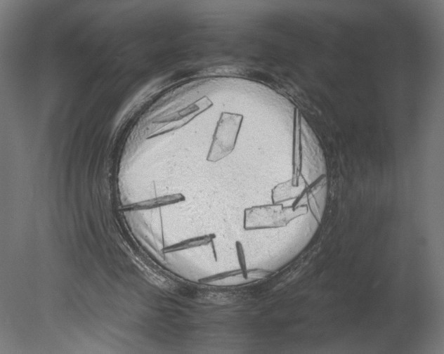 X0000080700341200701121757