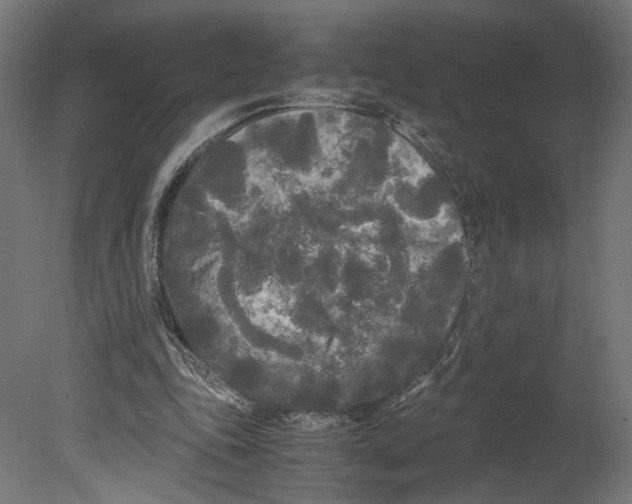 X0000080700343200701121757