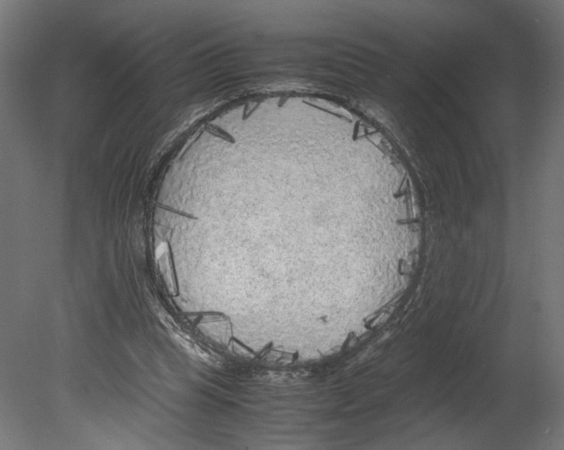 X0000080700345200701121757