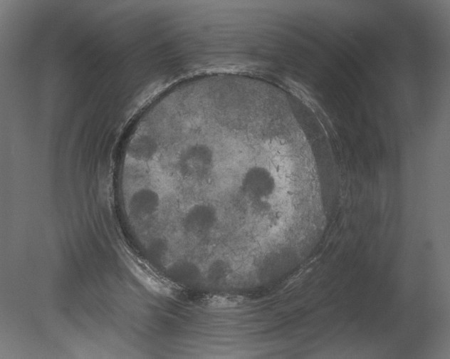 X0000080700346200701121757