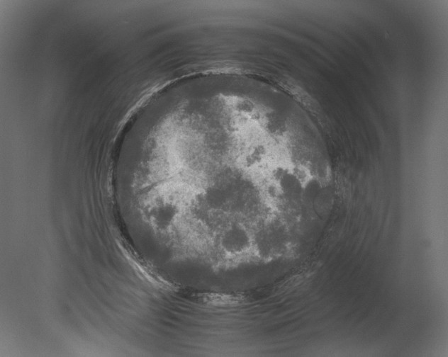 X0000080700347200701121757