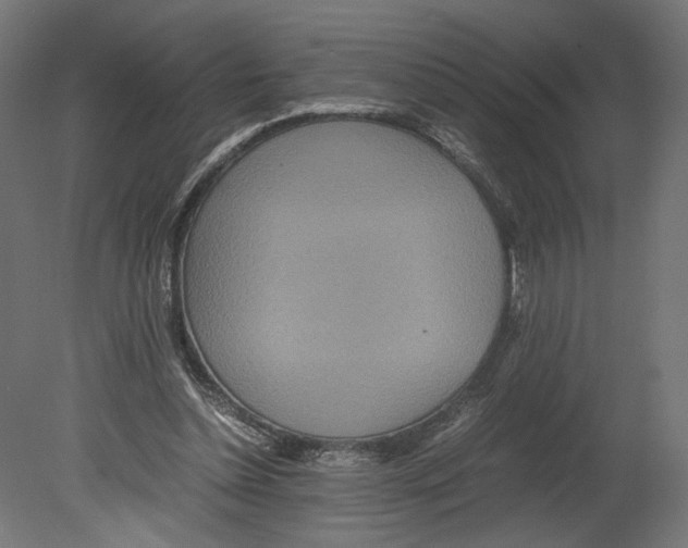 X0000080700348200701121757