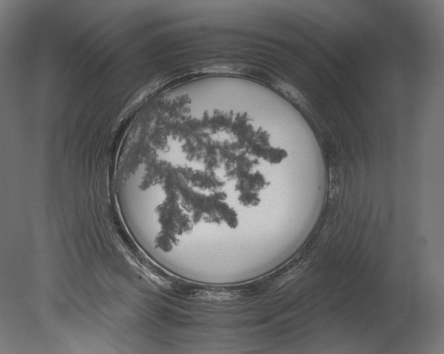 X0000080700349200701121757