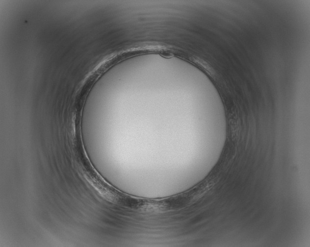 X0000080700350200701121757