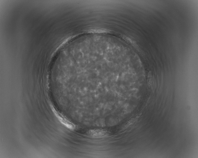 X0000080700351200701121757