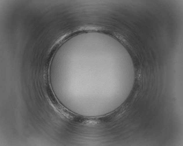 X0000080700352200701121757